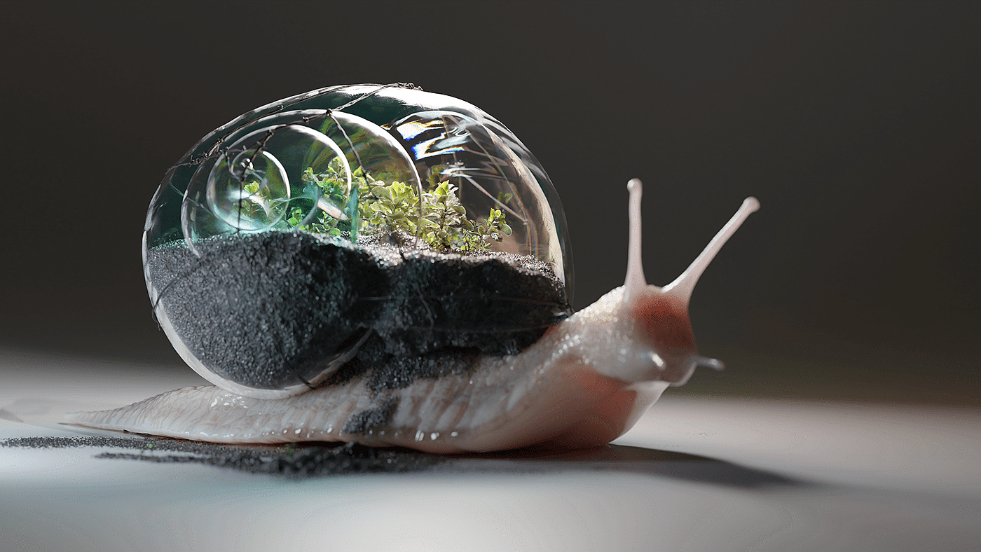 Terrarium Snail，Lightfarm Studios，3D art，