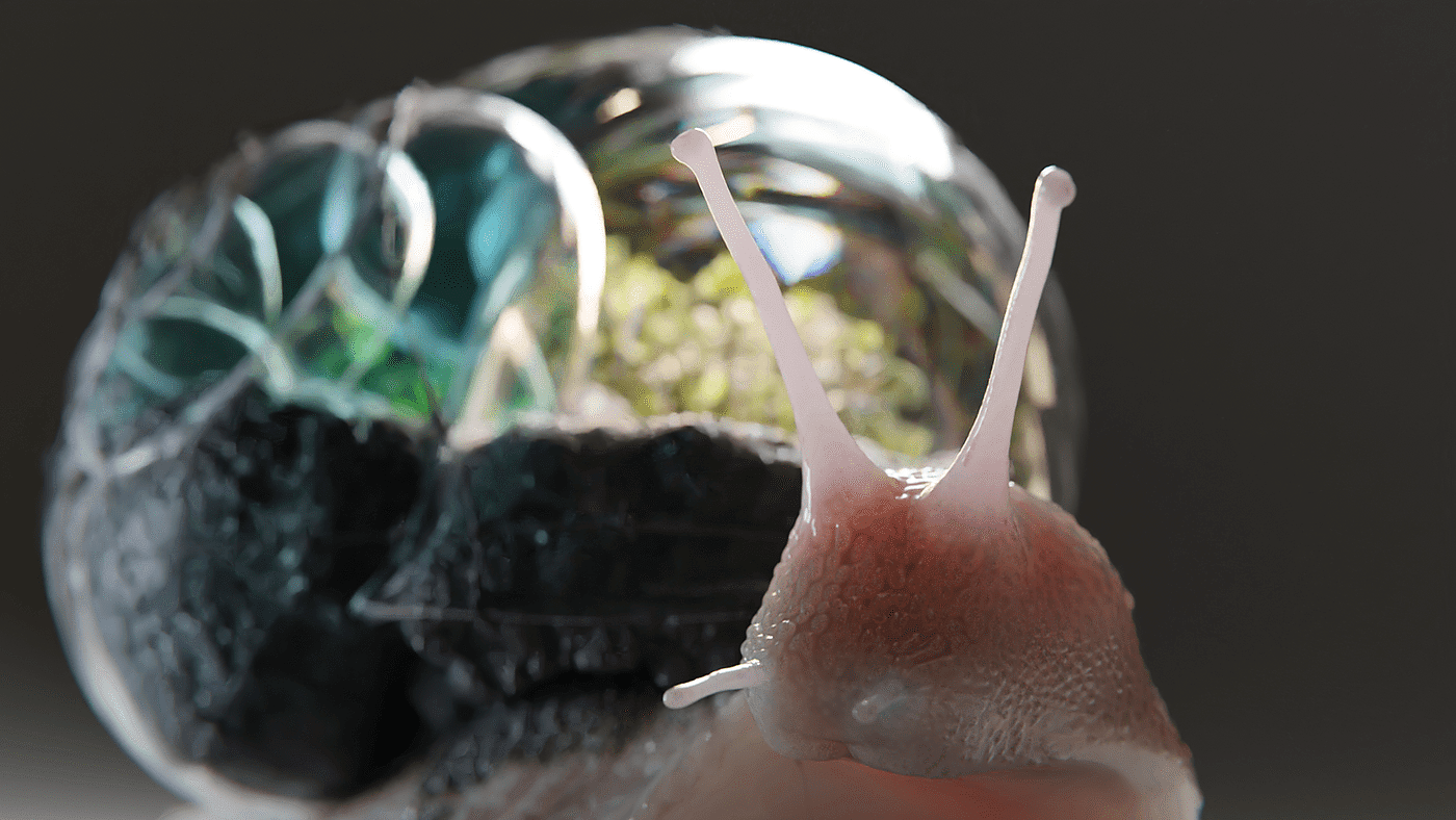 Terrarium Snail，Lightfarm Studios，3D art，