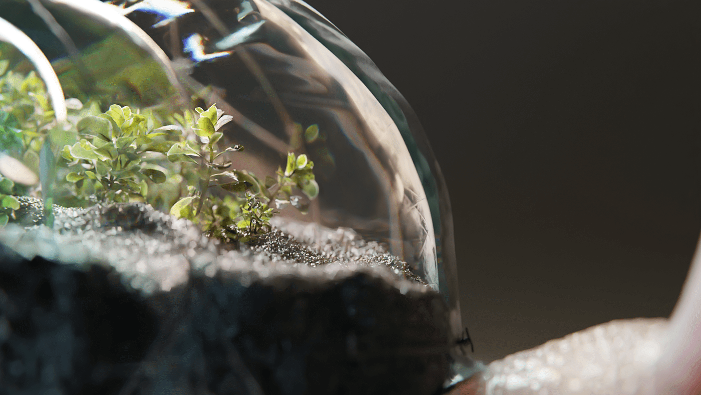 Terrarium Snail，Lightfarm Studios，3D艺术，