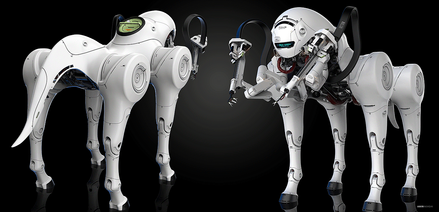 SN-3 Nova，Amin Akhshi，robot，