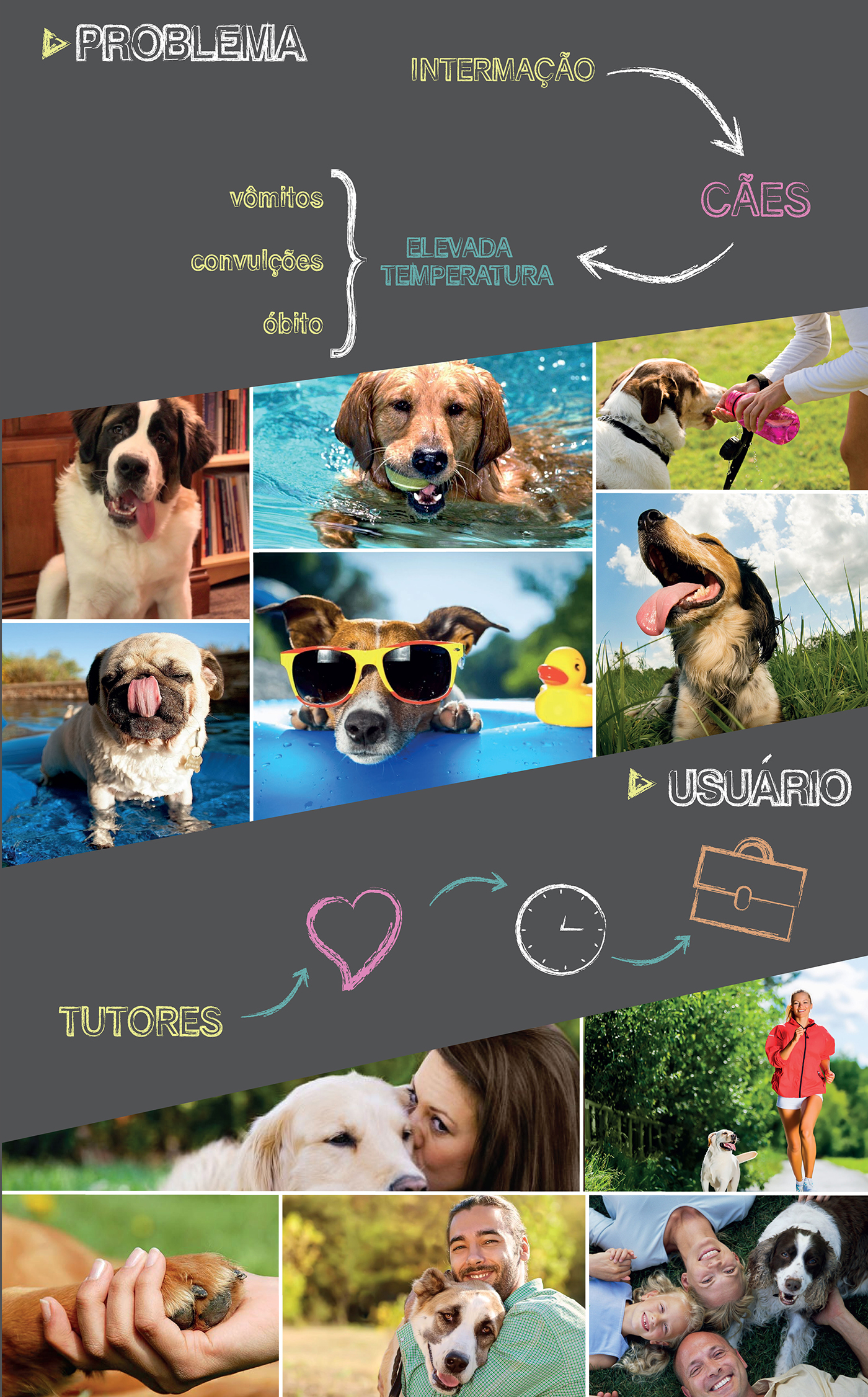 Pet Supplies & Pet，Health monitoring，temperature monitoring ，Dog supplies，