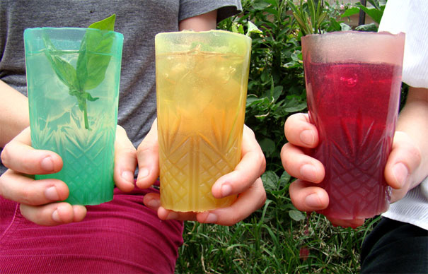 agar，Edible cup，originality，environment protection，