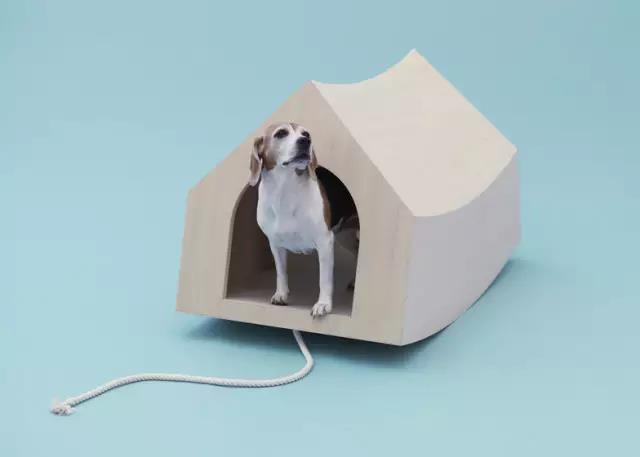 Pet Supplies & Pet，Design，function，originality，