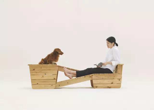 Pet Supplies & Pet，Design，function，originality，