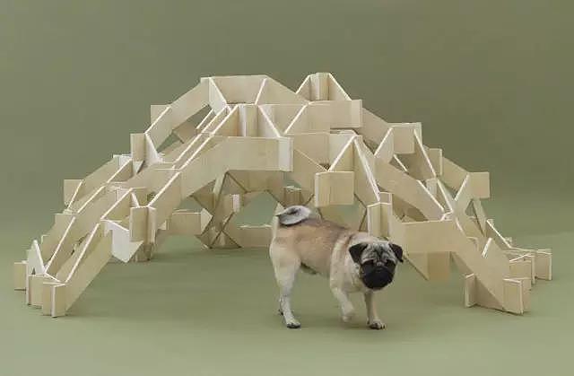 Pet Supplies & Pet，Design，function，originality，