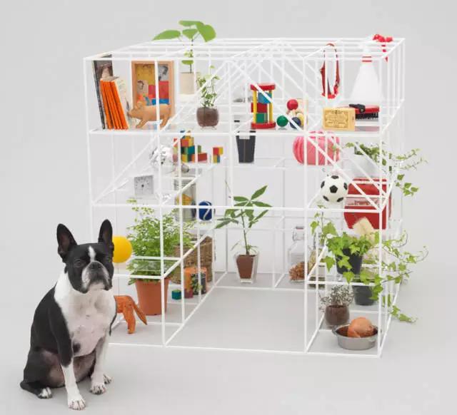 Pet Supplies & Pet，Design，function，originality，