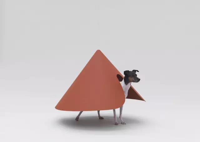 Pet Supplies & Pet，Design，function，originality，