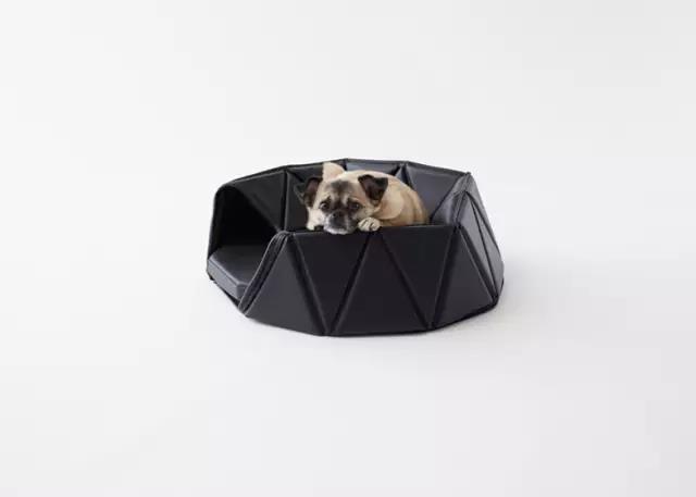 Pet Supplies & Pet，Design，function，originality，