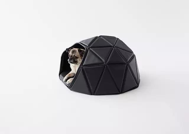 Pet Supplies & Pet，Design，function，originality，