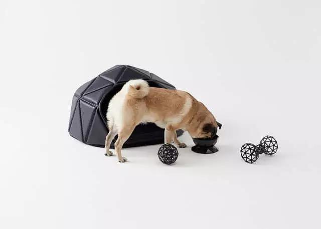 Pet Supplies & Pet，Design，function，originality，
