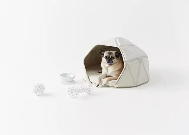 Pet Supplies & Pet，Design，function，originality，