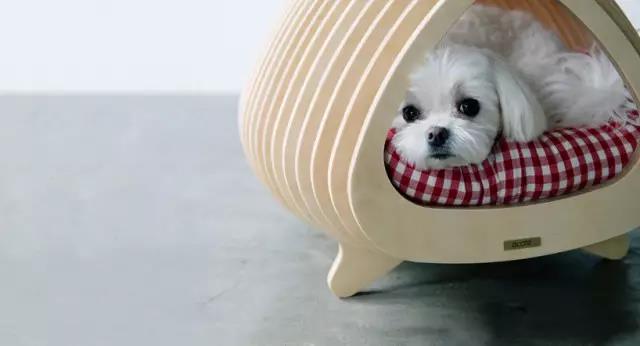 Pet Supplies & Pet，Design，function，originality，