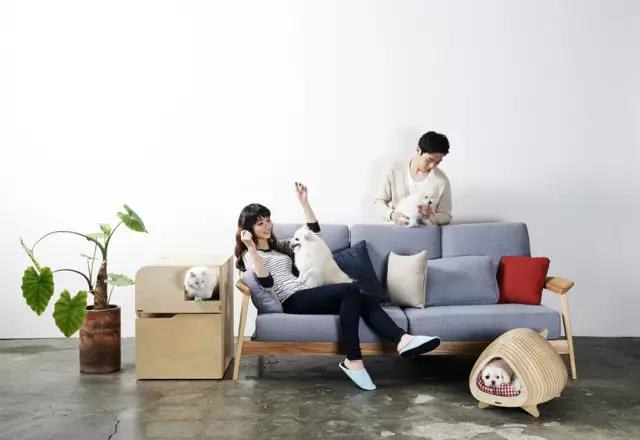 Pet Supplies & Pet，Design，function，originality，