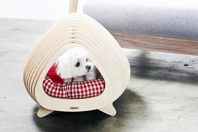 Pet Supplies & Pet，Design，function，originality，