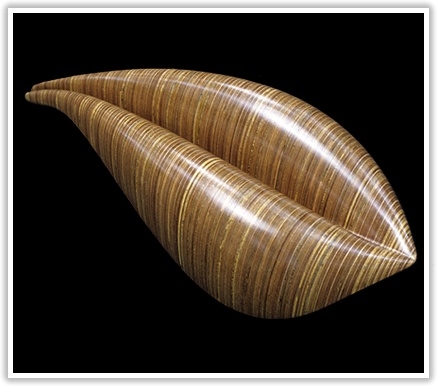 Wood carving，streamline，