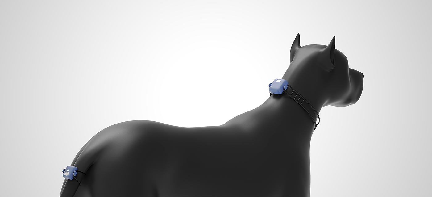 Wearable ，Pets，artificial intelligence，Behavior pattern，ai，
