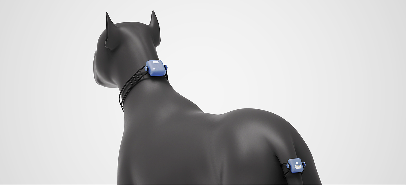 Wearable ，Pets，artificial intelligence，Behavior pattern，ai，