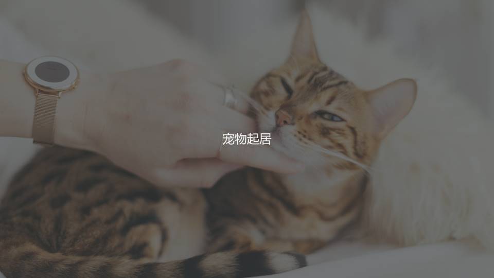 air cleaner，Portable，product design，industrial design，