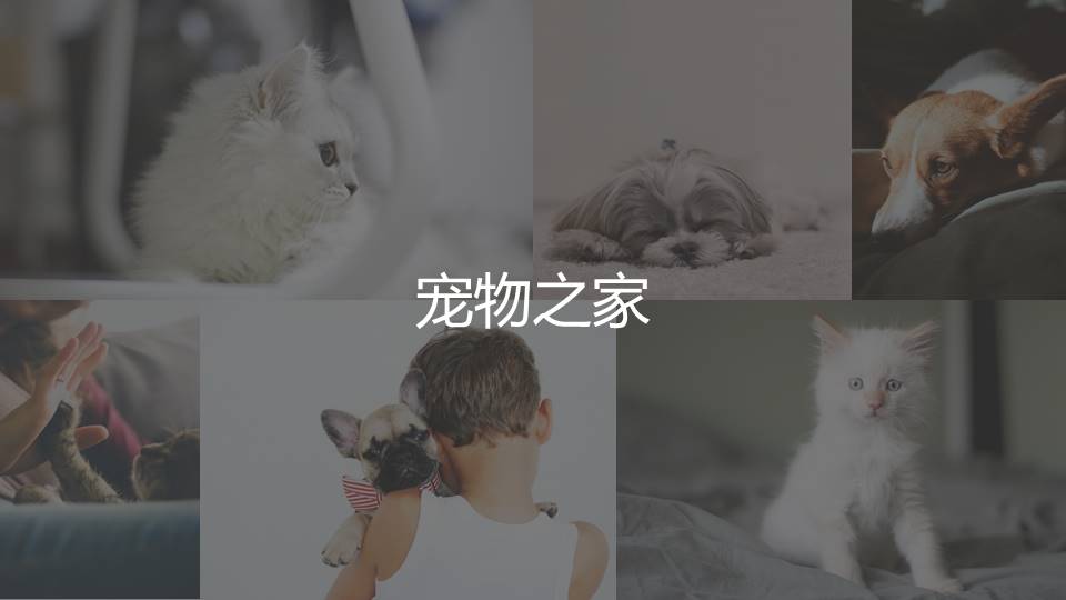 air cleaner，Portable，product design，industrial design，