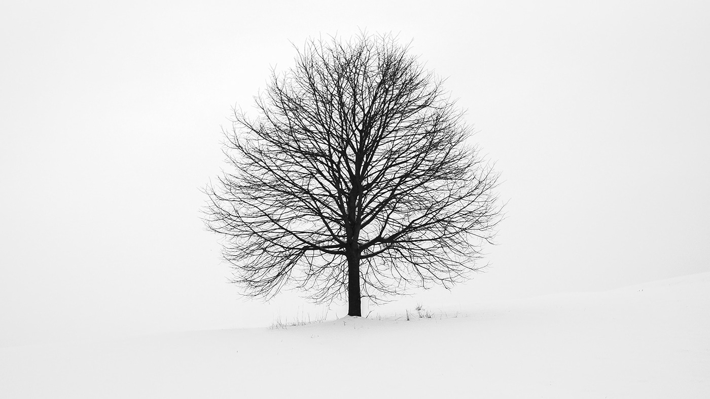 furniture，chair，Creative design，industrial design，