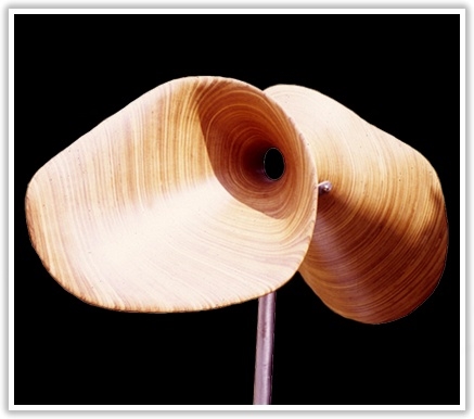 Wood carving，streamline，Log，