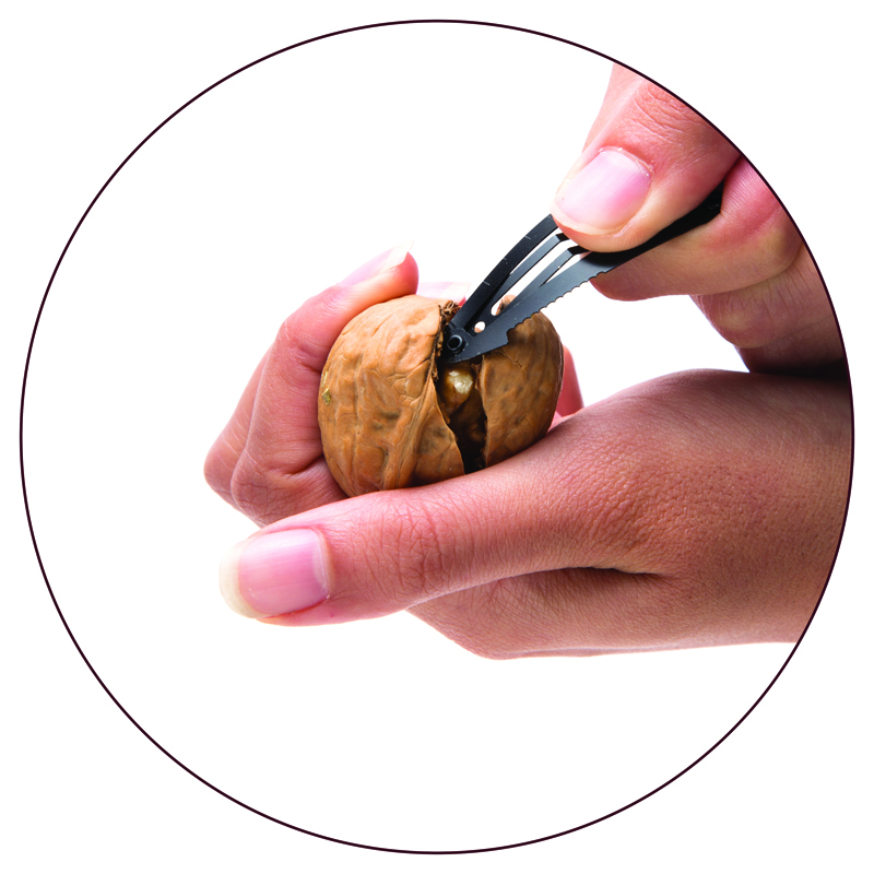 9.99 dollars，Bottle opener，Hairpin，Melon knife，ruler，