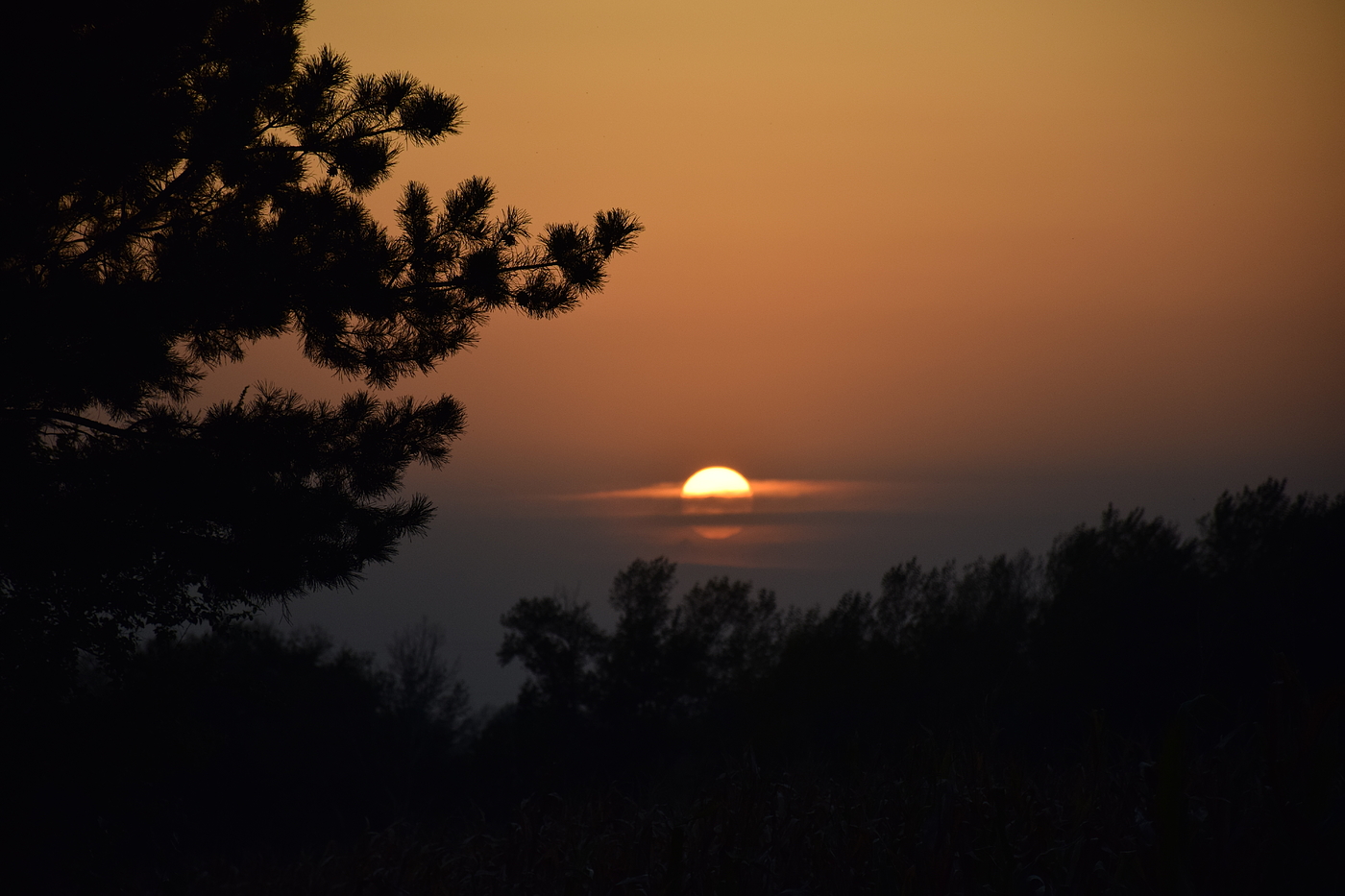 Photography，