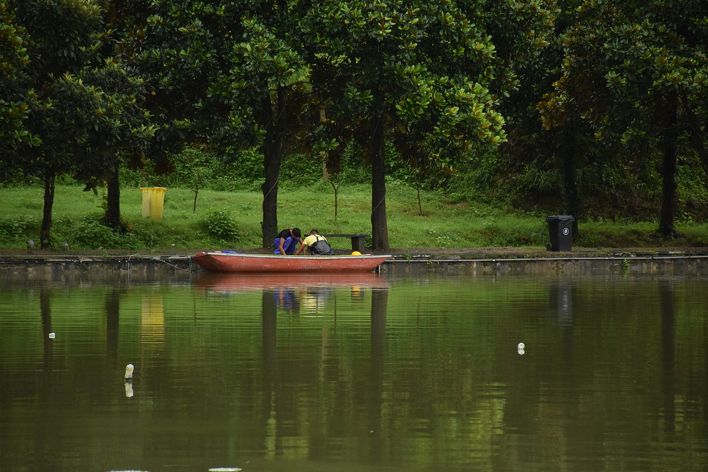 Photography，
