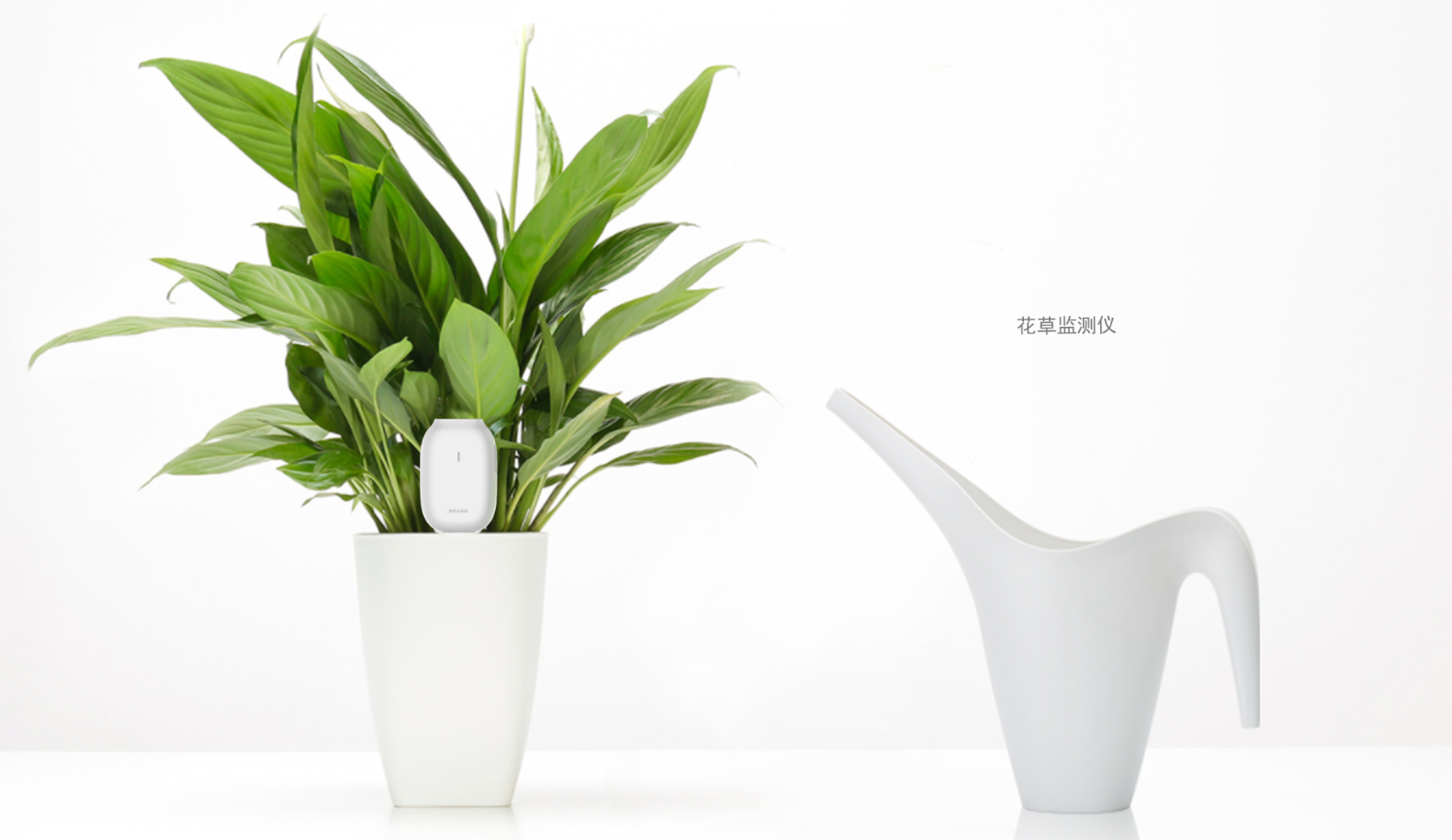 small home appliances，