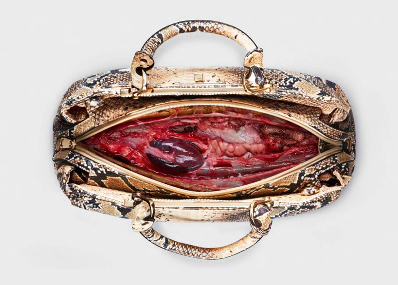 protest，Cruelty to animals，handbag，Be kind to animals，