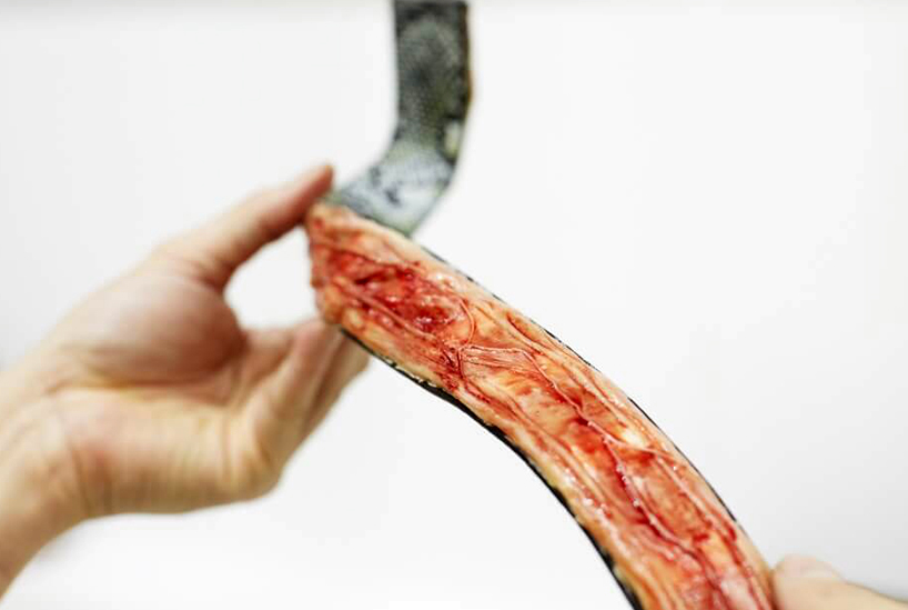 protest，Cruelty to animals，handbag，Be kind to animals，