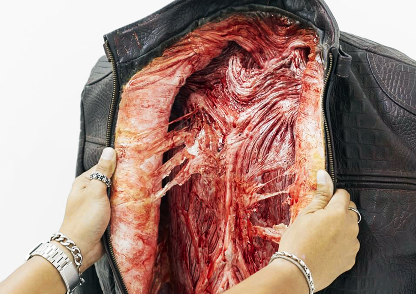 protest，Cruelty to animals，handbag，Be kind to animals，