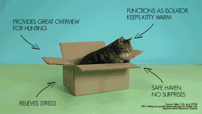 Iconic，Architecture，cardboard，Cat house，