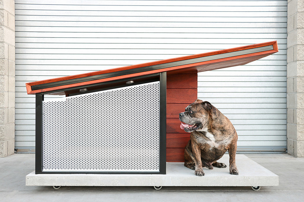 Pets，Pet house，distinctive，