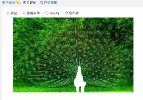 first party，Designer daily，Quotations，interest，