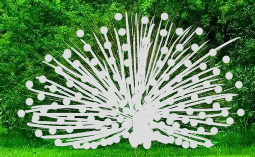 first party，Designer daily，Quotations，interest，