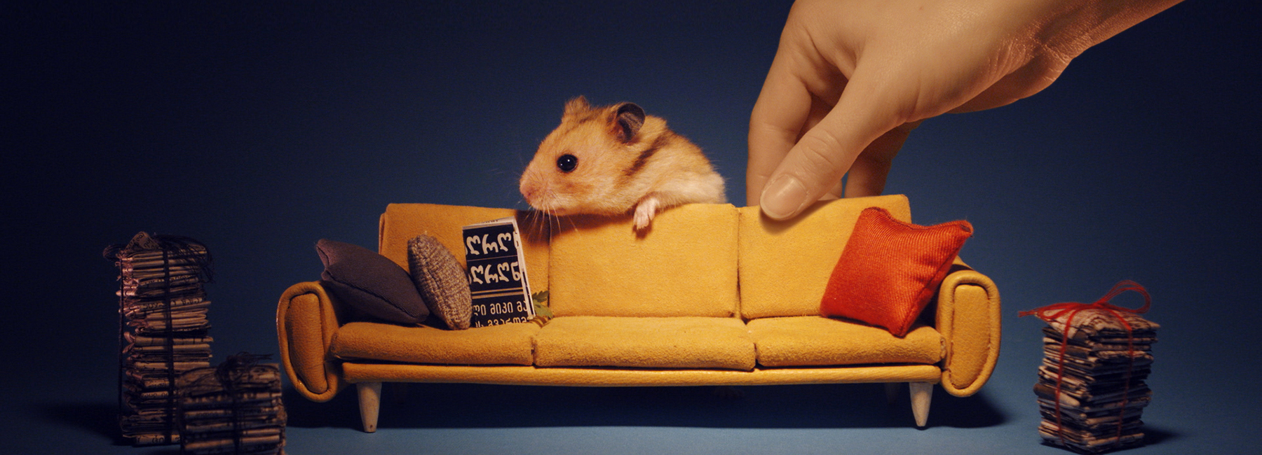 details，lifelike，Architecture，1884 hours，Hamster，