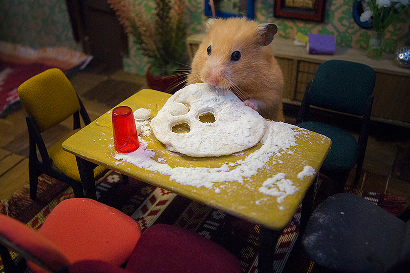 details，lifelike，Architecture，1884 hours，Hamster，