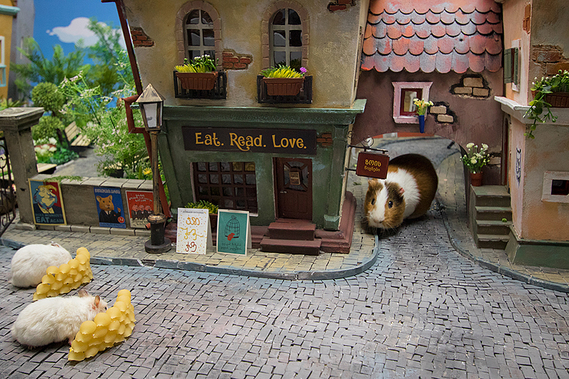 details，lifelike，Architecture，1884 hours，Hamster，
