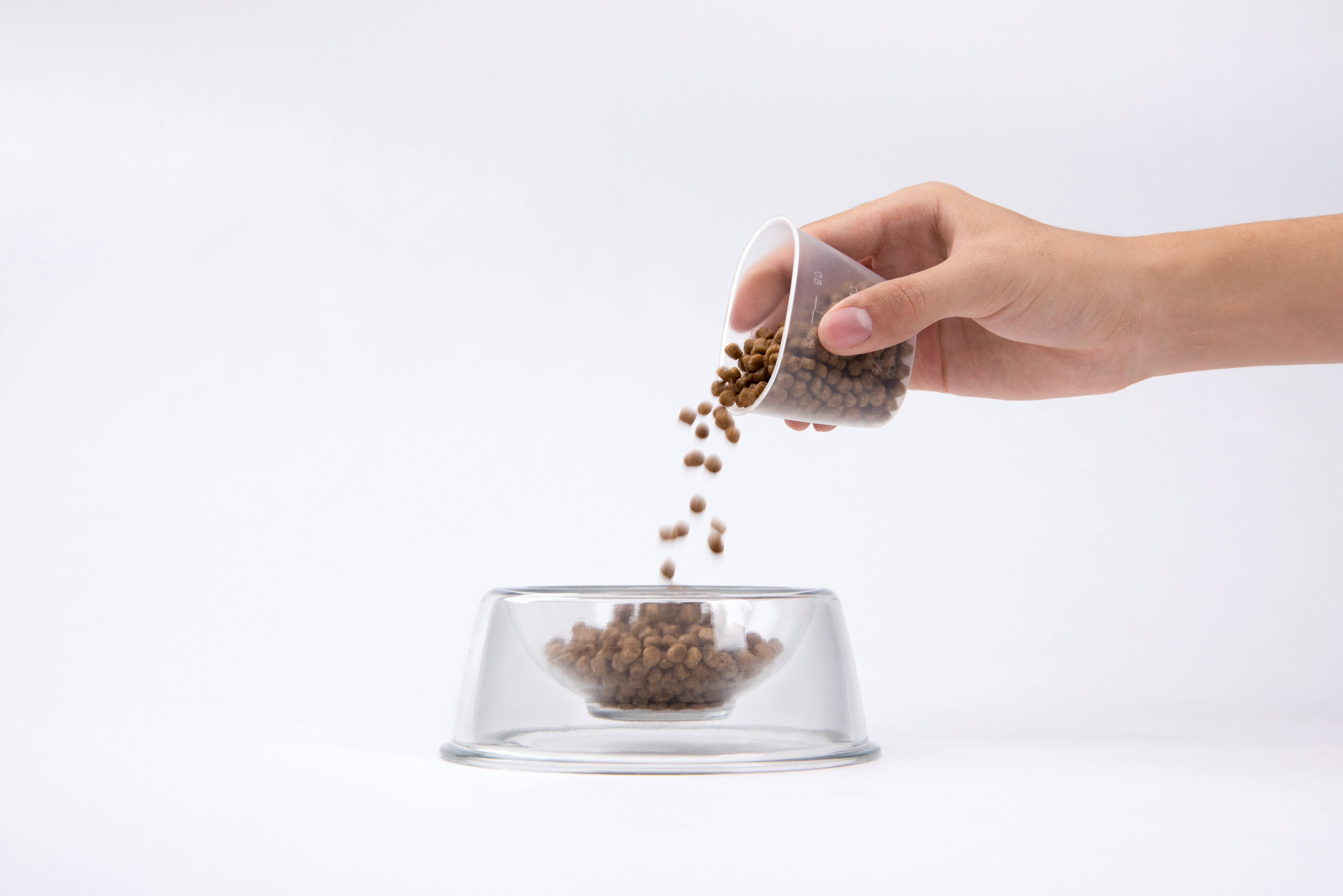 Pet bowl，Pet Supplies & Pet，