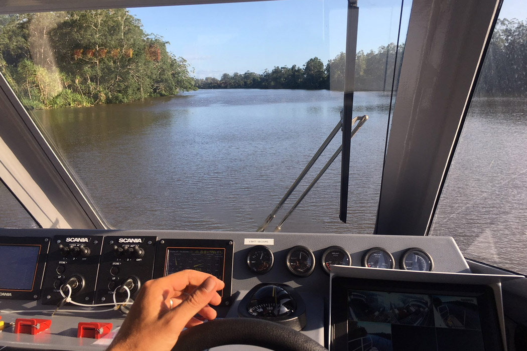 ship，Pneumatic，luxury，Diploid，