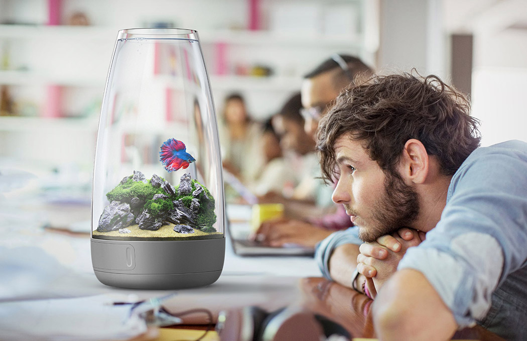 fish tank，Disinfection lamp，Self cleaning，Home Furnishing，rotation，