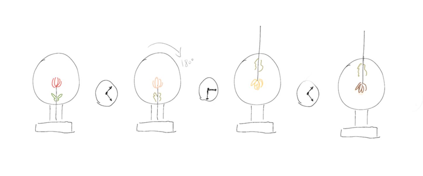 vase，Desk lamp，Atmosphere lamp，