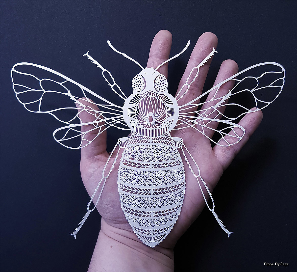 paper-cut，image，British artist，
