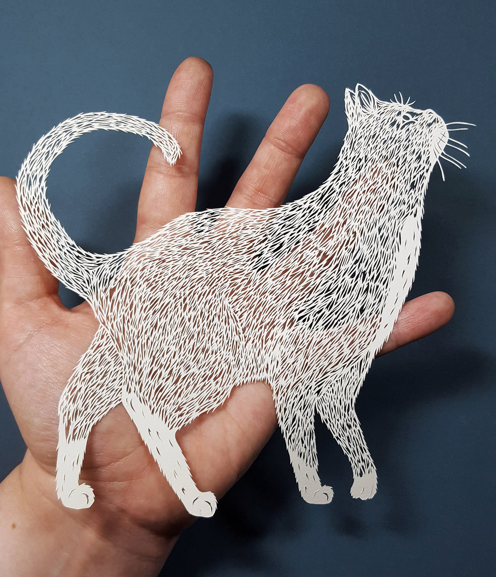 paper-cut，image，British artist，