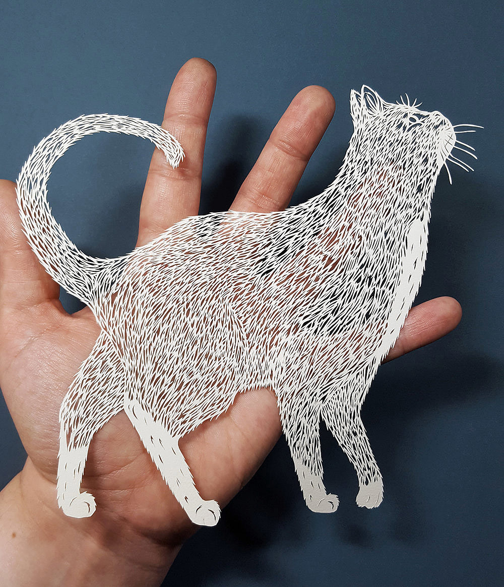paper-cut，image，British artist，