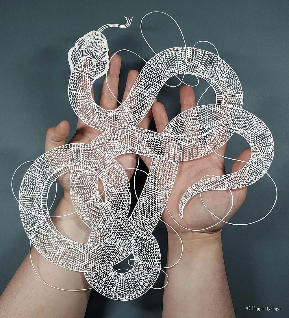 paper-cut，image，British artist，