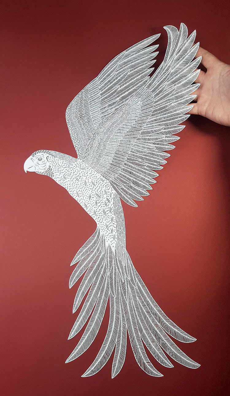 paper-cut，image，British artist，
