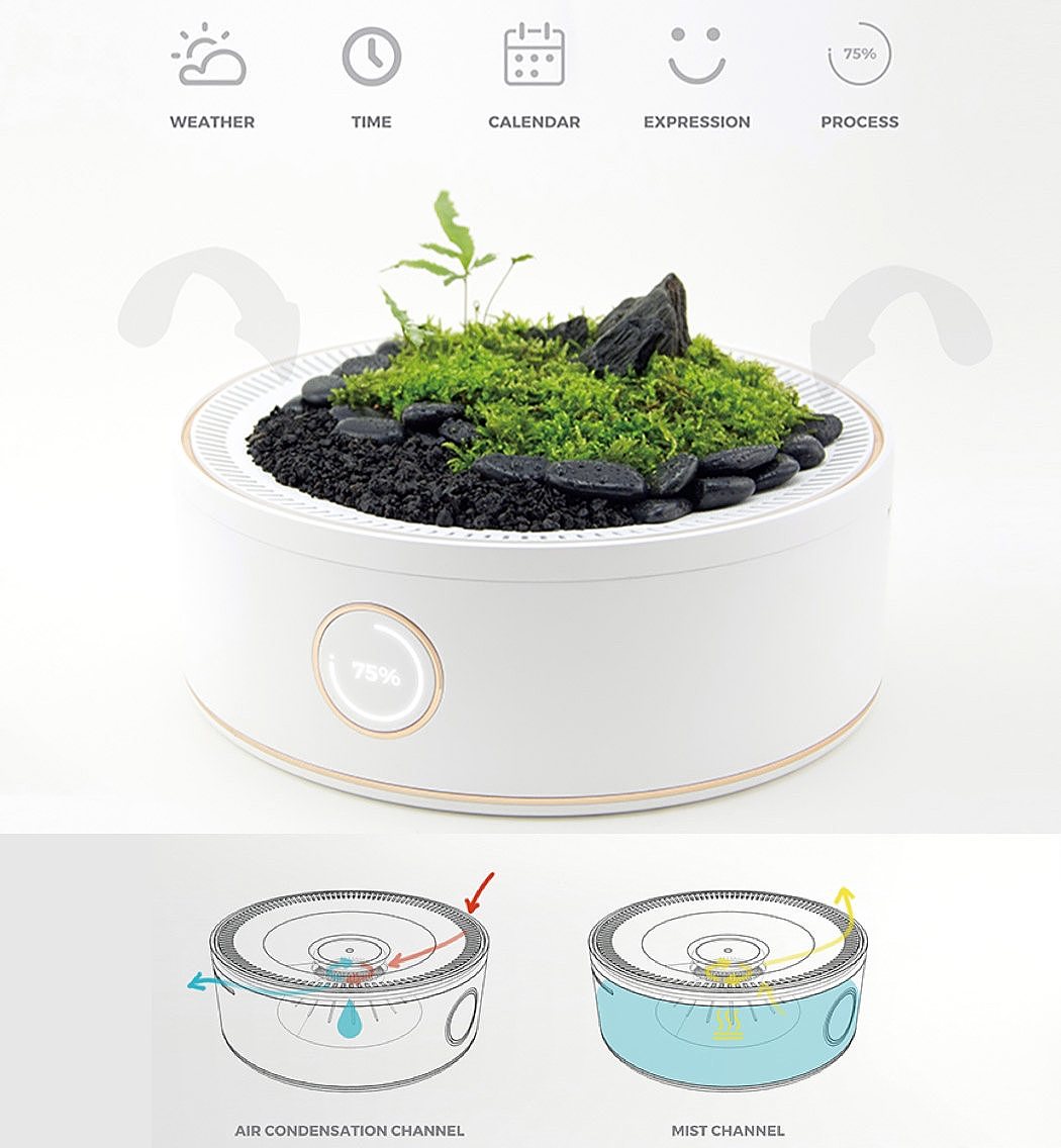 Flowerpot，intelligence，watering，sensor，science and technology，