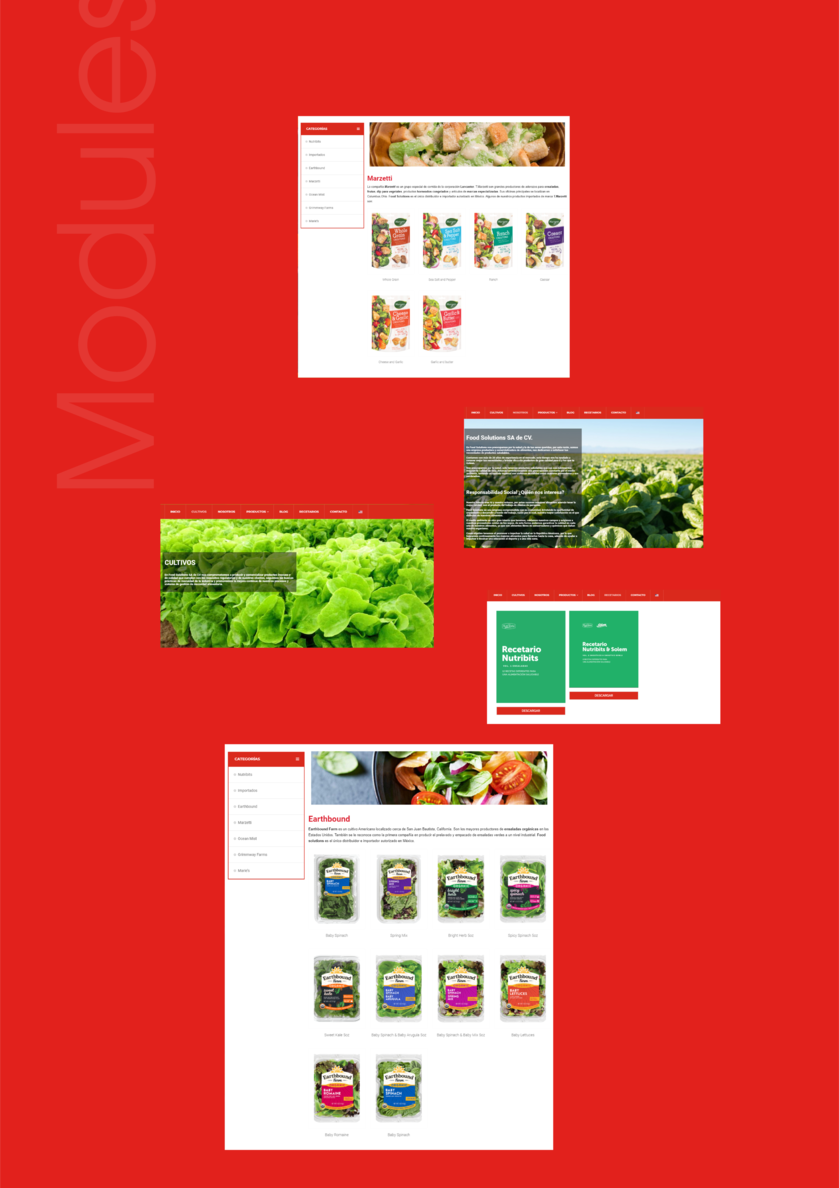 MEXICO，healthy，web design，website，ux/ui，red，sport，FOOD，